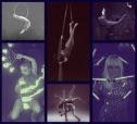 Špilbergia - svět fantastické show